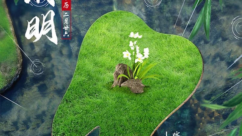 补牙后多久能用那侧嚼？揭秘恢复期注意事项**